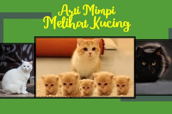 Mimpi kucing arti primbon menurut lengkap jawa