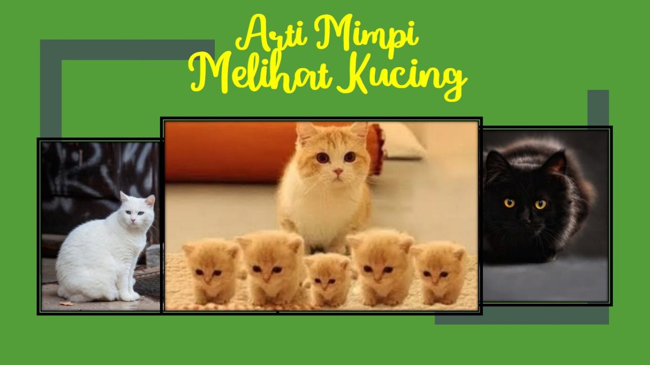 Mimpi kucing arti primbon menurut lengkap jawa