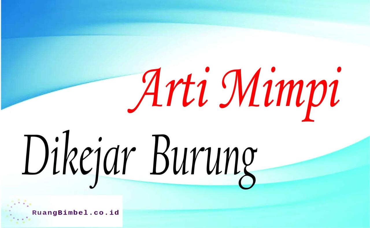 Arti mimpi burung dikejar